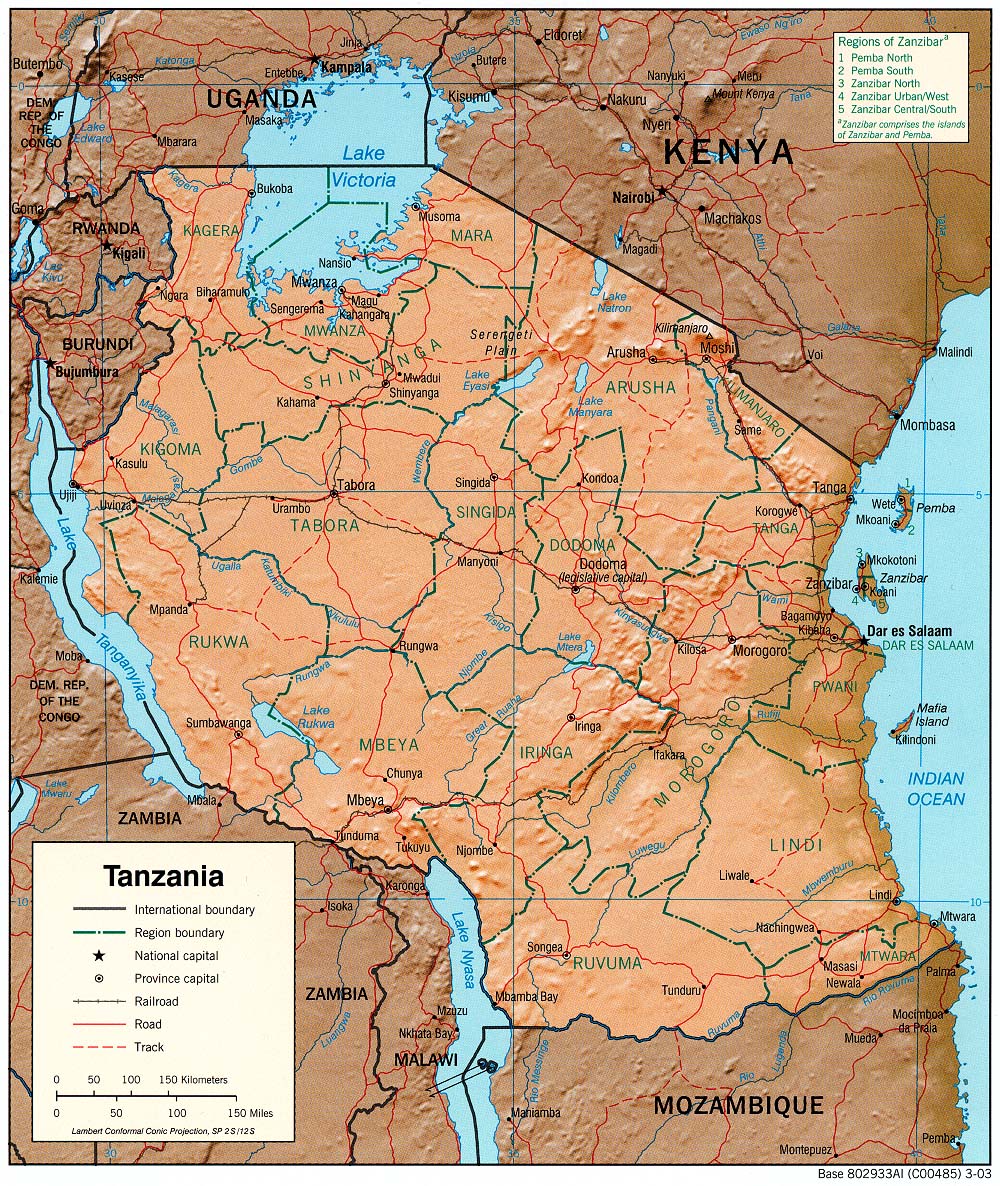 Terreng kart over Tanzania 2003